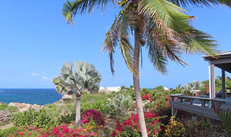 patio view